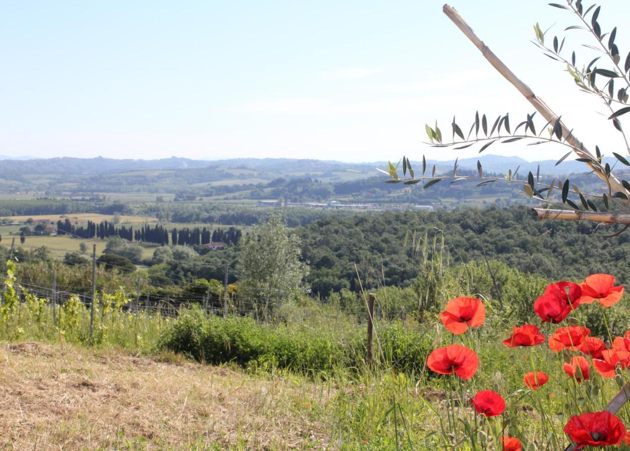 Tuscany Life Terricciola 外观 照片